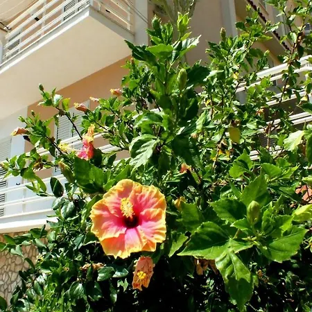 Apartment Casa Vacanze Ferdinandea *